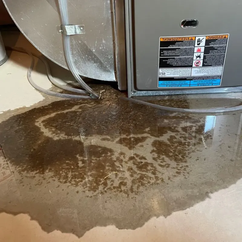 Pipe Burst and Leak Restoration in El Monte, CA